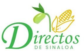 directosdesinaloa.com